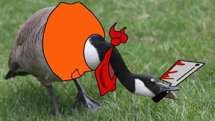 After charging its unsuspecting victim, a killer goose prepares to bury the evidence. (Photo illustration)