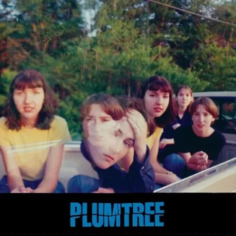 Allow Me to Indoctrinate You Into the World of Plumtree
